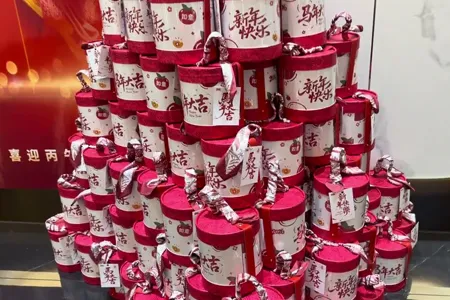 YONGGUANG Annual Meeting Video7