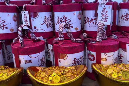 YONGGUANG Annual Meeting Video9